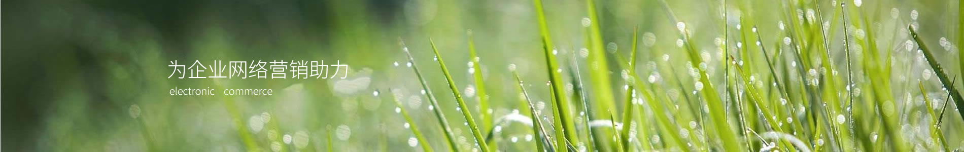 ѸʢܽƼ޹˾